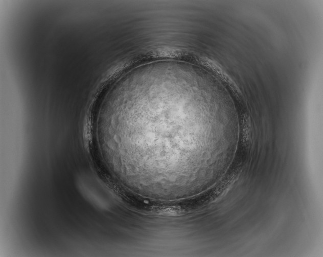 X0000100320683200806051517