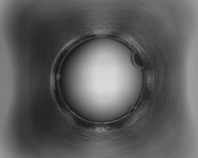 X0000100320684200806051517