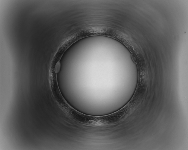 X0000100320688200806051517