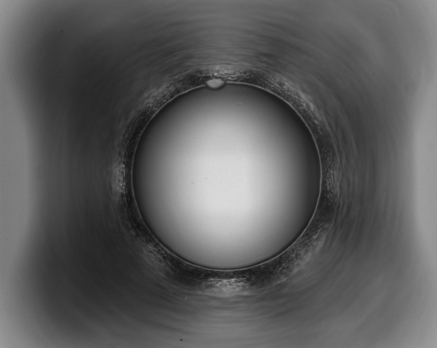 X0000100320689200806051517