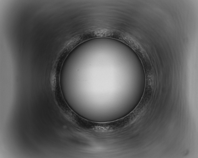 X0000100320690200806051517