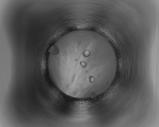 X0000100320691200806051517