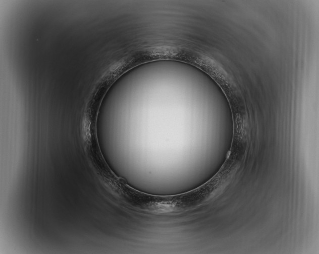 X0000100320692200806051517