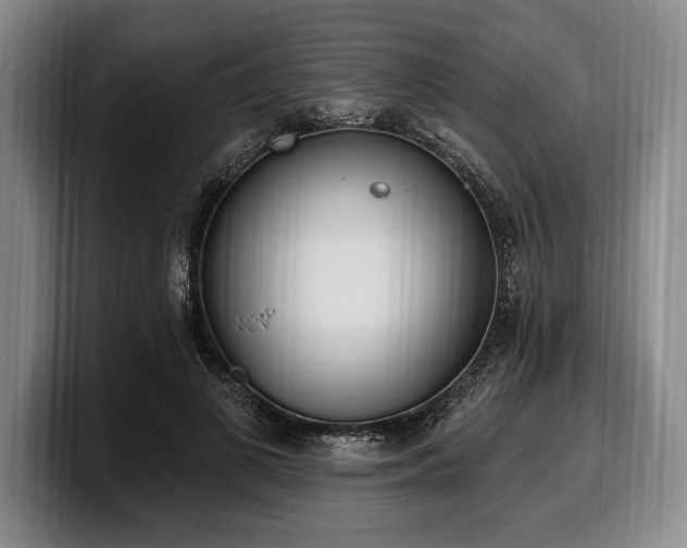 X0000100320693200806051517