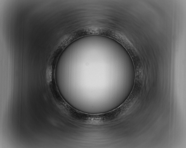 X0000100320694200806051517