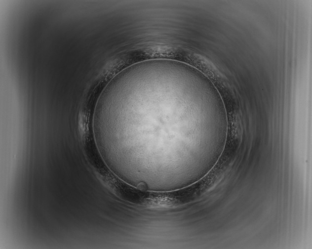 X0000100320695200806051517