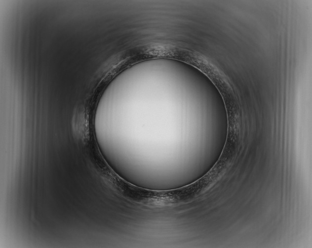 X0000100320696200806051517