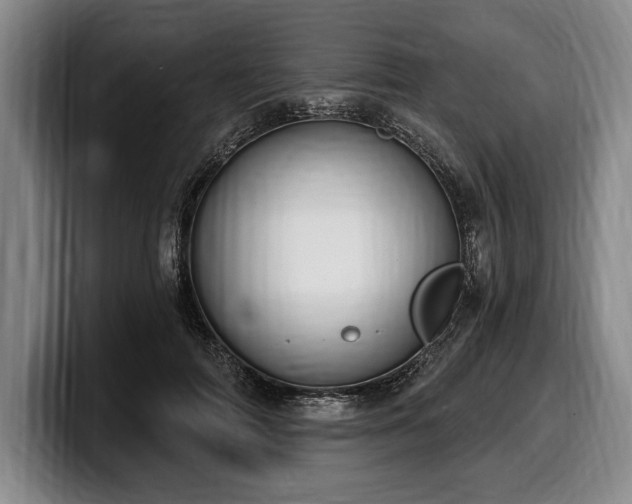 X0000100320698200806051517