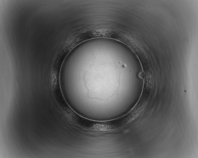 X0000100320699200806051517