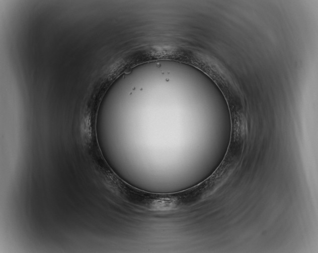 X0000100320700200806051517