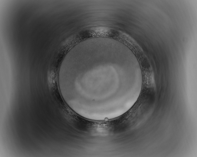 X0000100320701200806051517