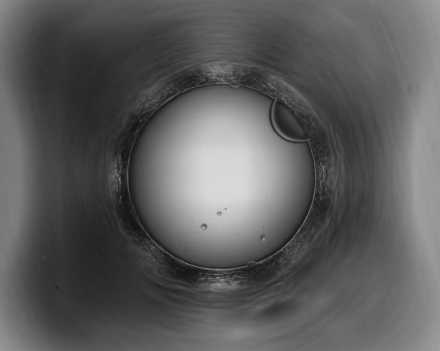 X0000100320702200806051517