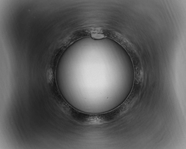 X0000100320704200806051517