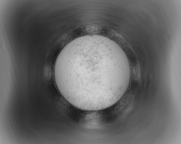 X0000100320705200806051517