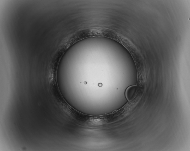 X0000100320706200806051517