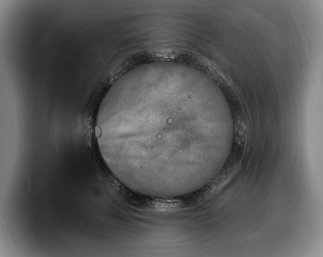 X0000100320707200806051517