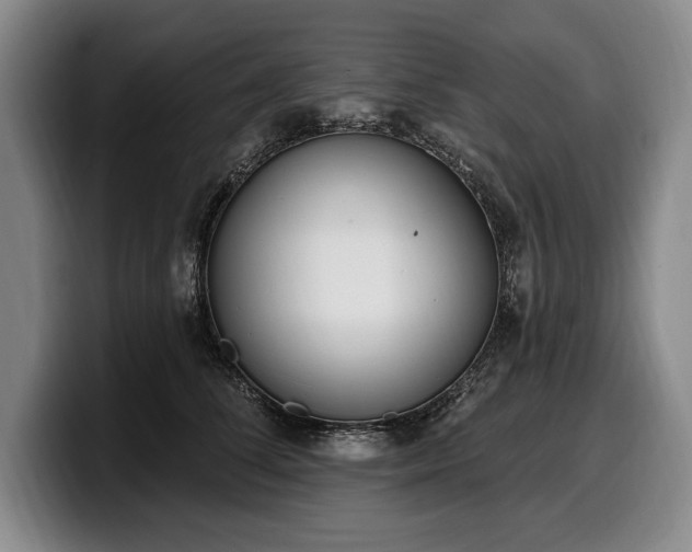 X0000100320708200806051517