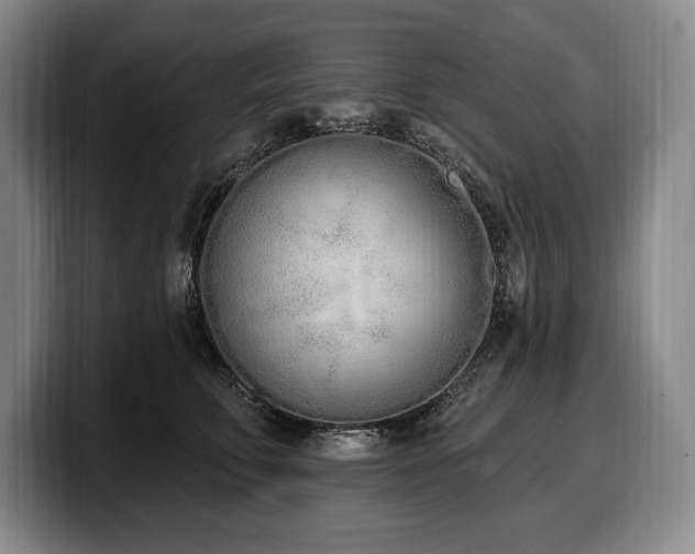 X0000100320711200806051517