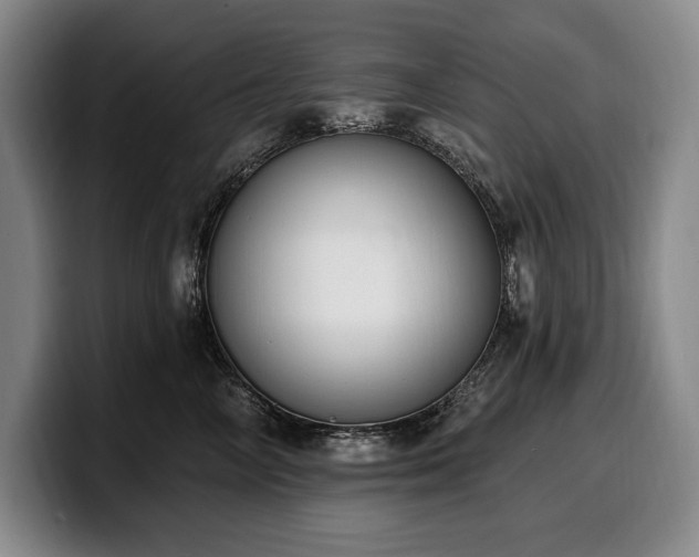 X0000100320714200806051517