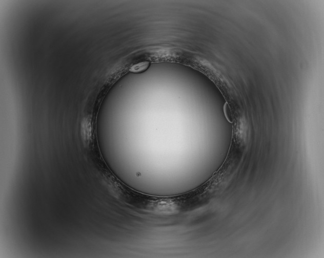 X0000100320715200806051517