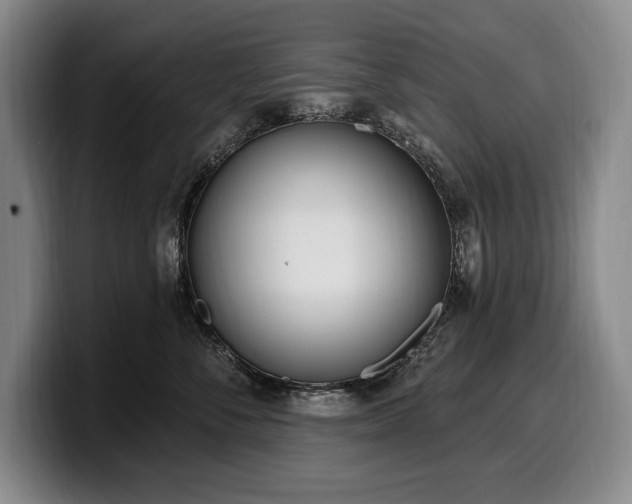 X0000100320716200806051517