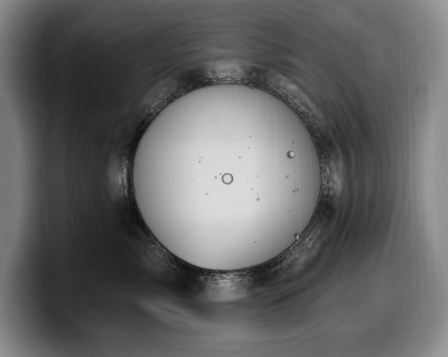 X0000100320717200806051517