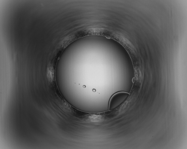 X0000100320718200806051517