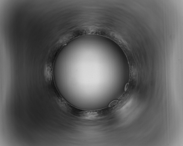 X0000100320719200806051517