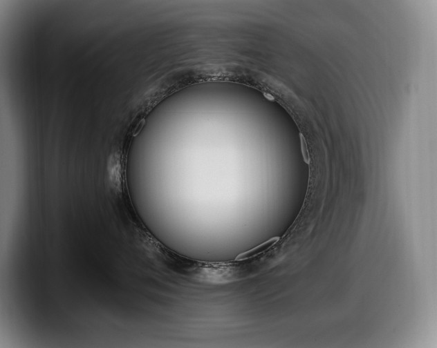 X0000100320720200806051517