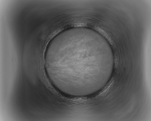 X0000100320721200806051516