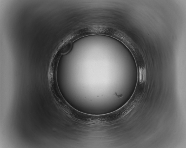 X0000100320723200806051516