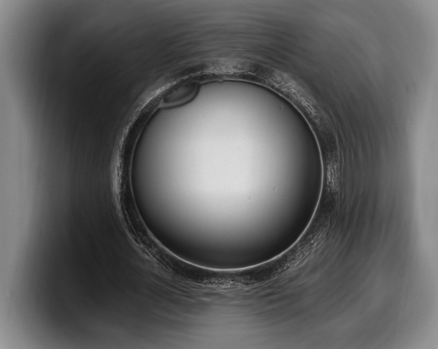 X0000100320724200806051516