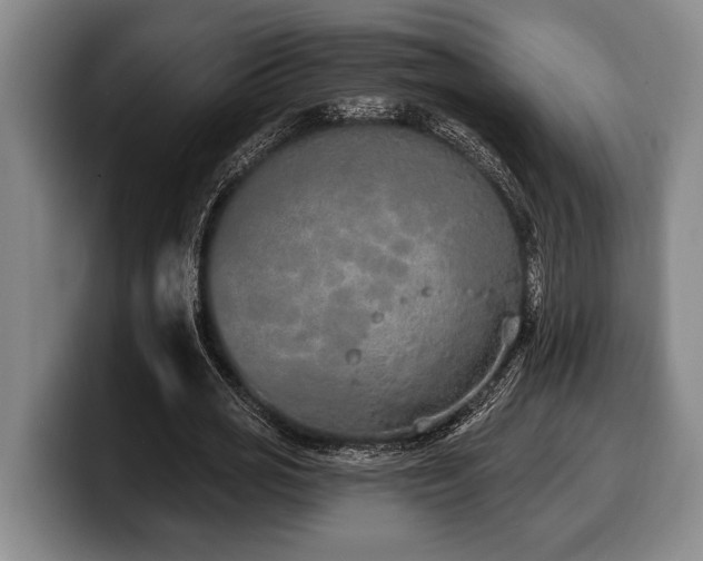 X0000100320725200806051516