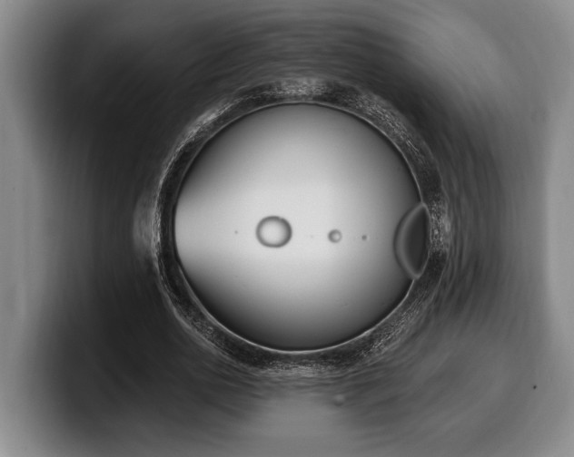 X0000100320726200806051516