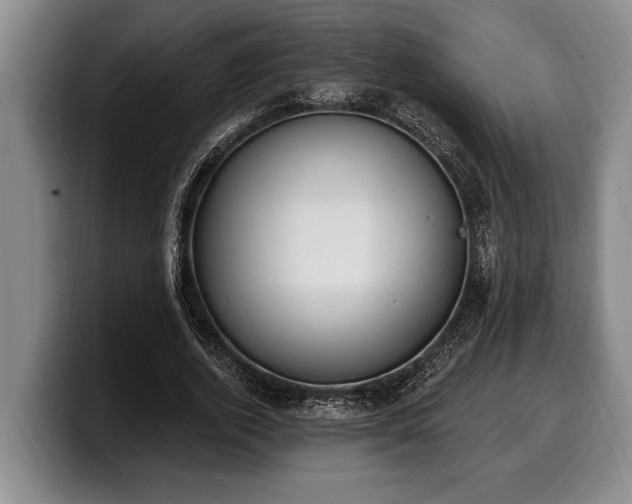 X0000100320728200806051516