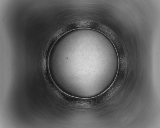 X0000100320729200806051516