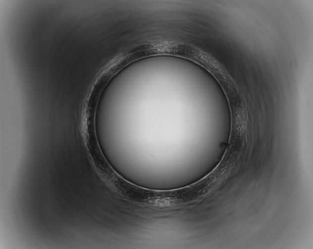 X0000100320730200806051516