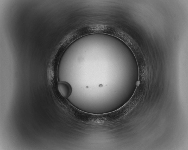 X0000100320731200806051516