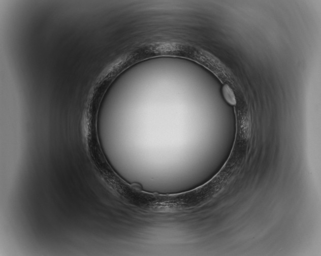 X0000100320732200806051516