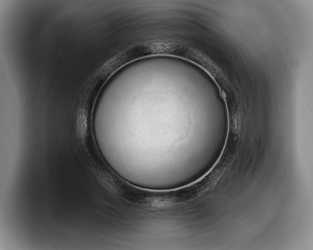 X0000100320733200806051516