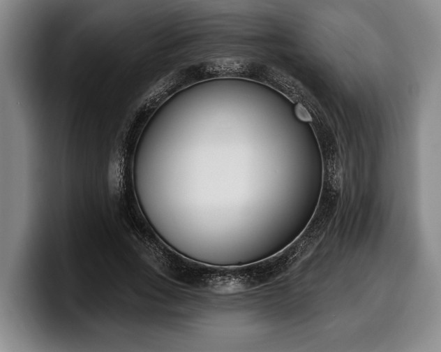 X0000100320735200806051516