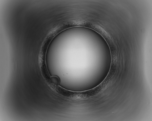 X0000100320736200806051516