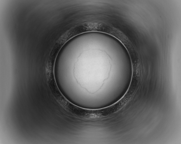 X0000100320737200806051516