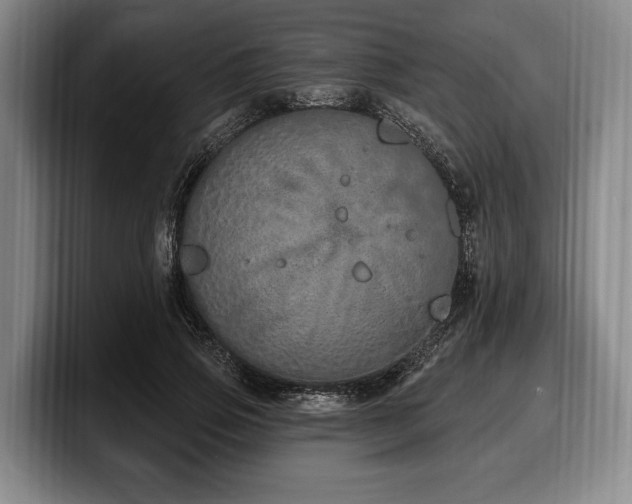 X0000100320741200806051516