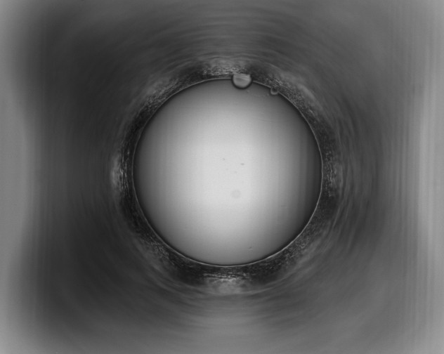 X0000100320743200806051516