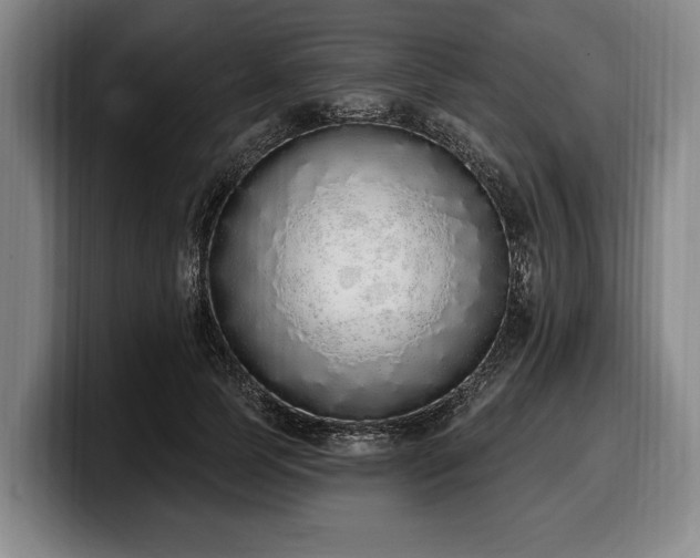 X0000100320745200806051516