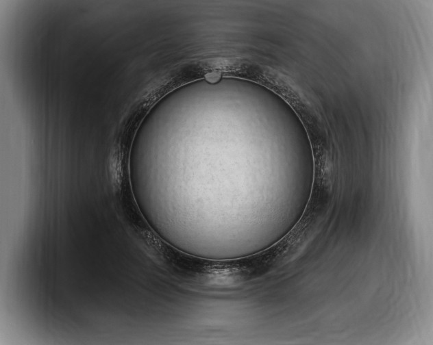 X0000100320746200806051516