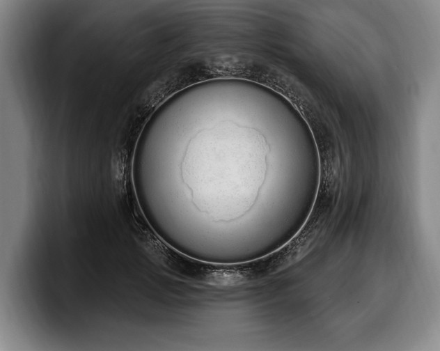 X0000100320749200806051516