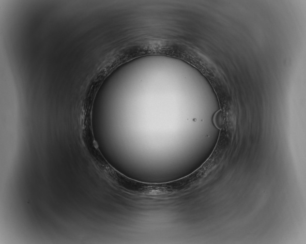 X0000100320750200806051517