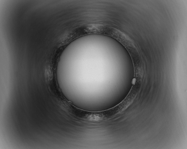 X0000100320751200806051517